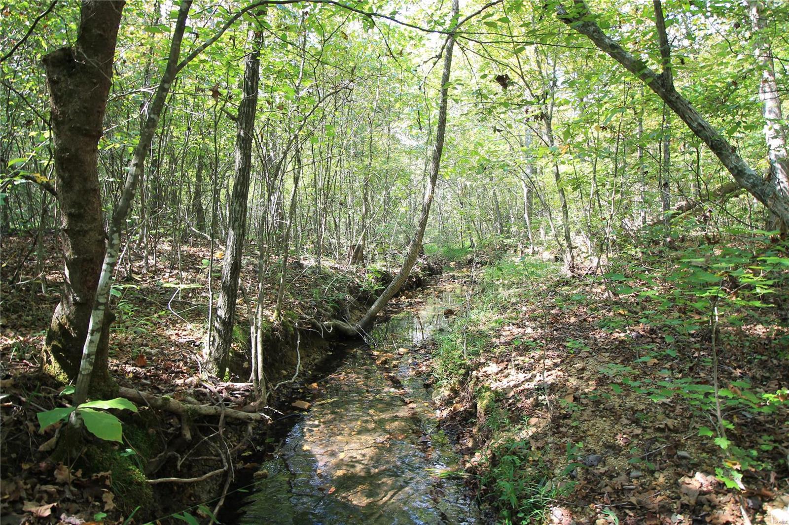 0 Madison Cr Fredericktown, MO 63645 - Photo 2 of 18