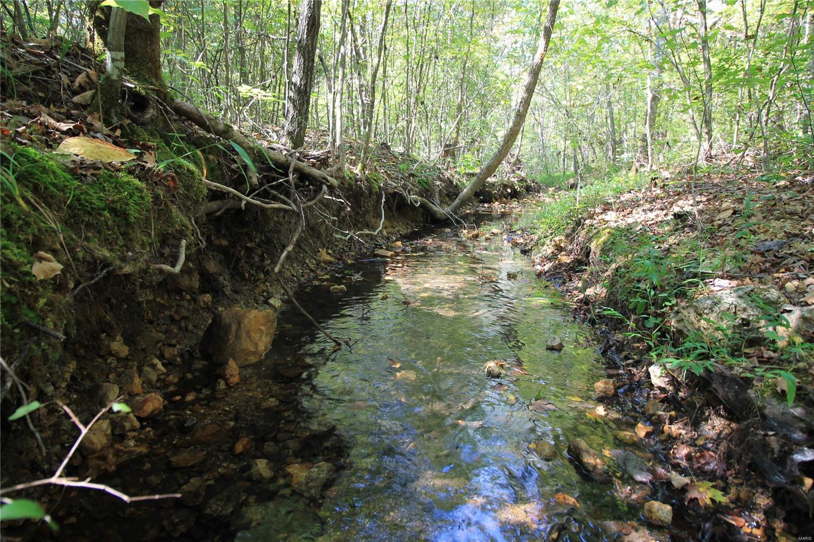 0 Madison Cr Fredericktown, MO 63645 - Photo 3 of 18