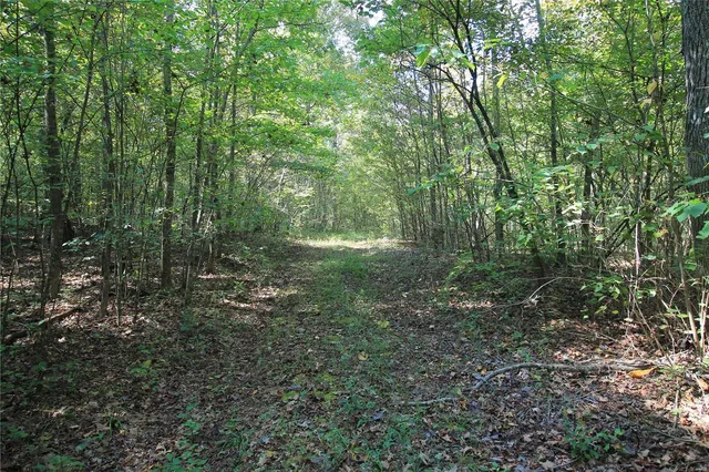 $241,556 | 0 Madison Cr, Fredericktown, MO 63645