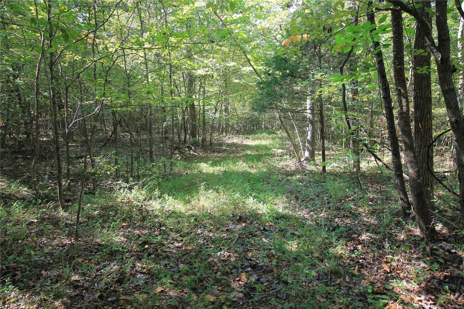 0 Madison Cr Fredericktown, MO 63645 - Photo 6 of 18