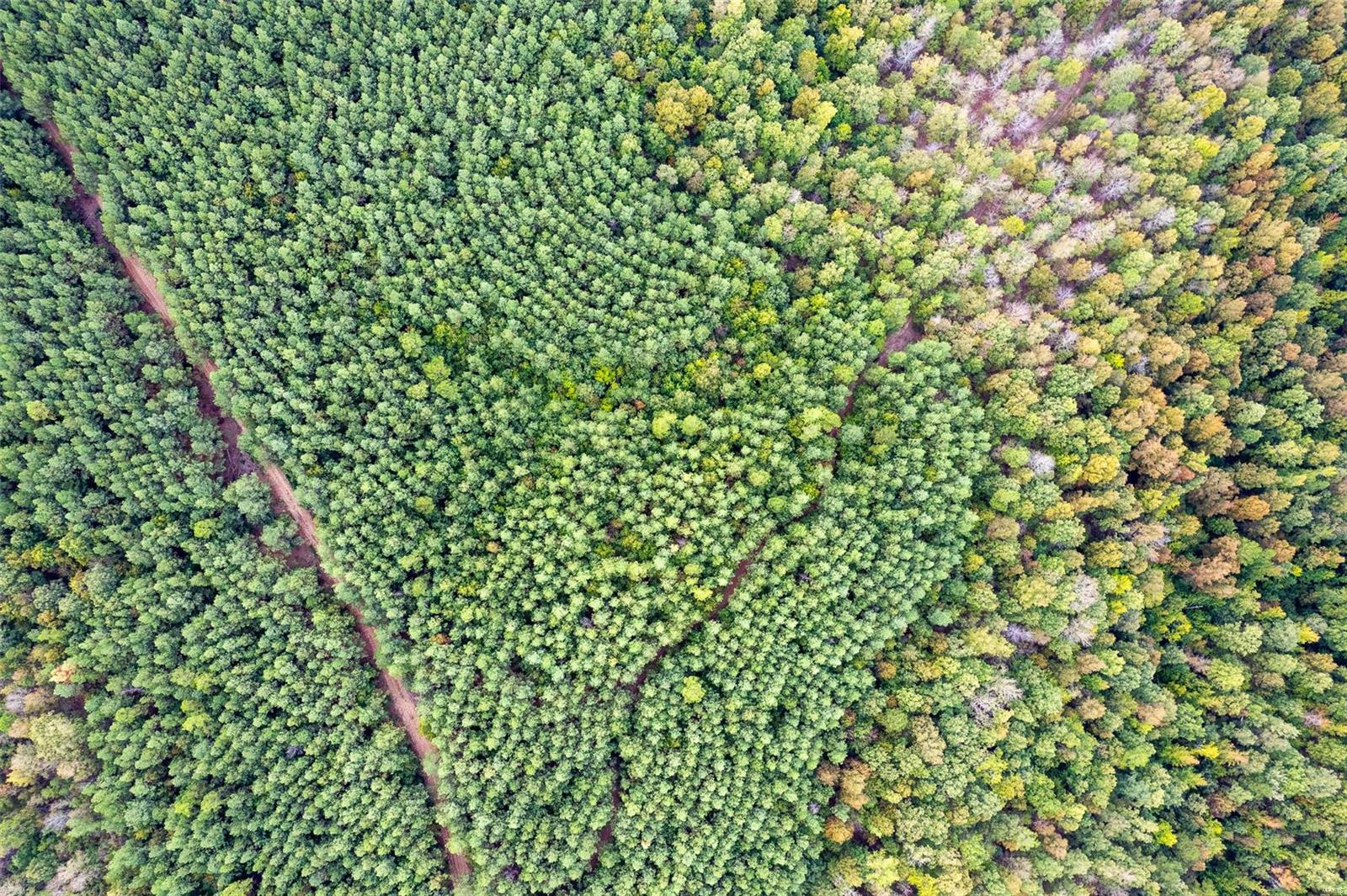 0 Madison Cr Fredericktown, MO 63645 - Photo 10 of 18