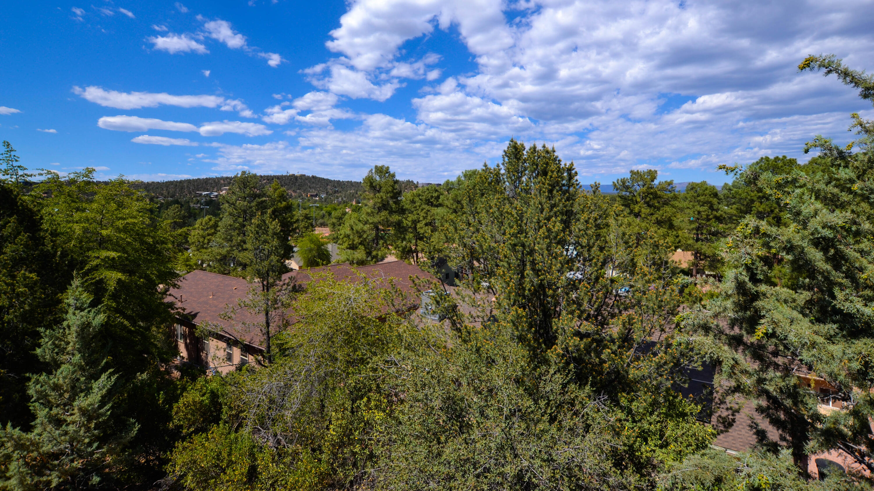 801 Zane Grey Circle Payson, AZ 85541 - Photo 39 of 63