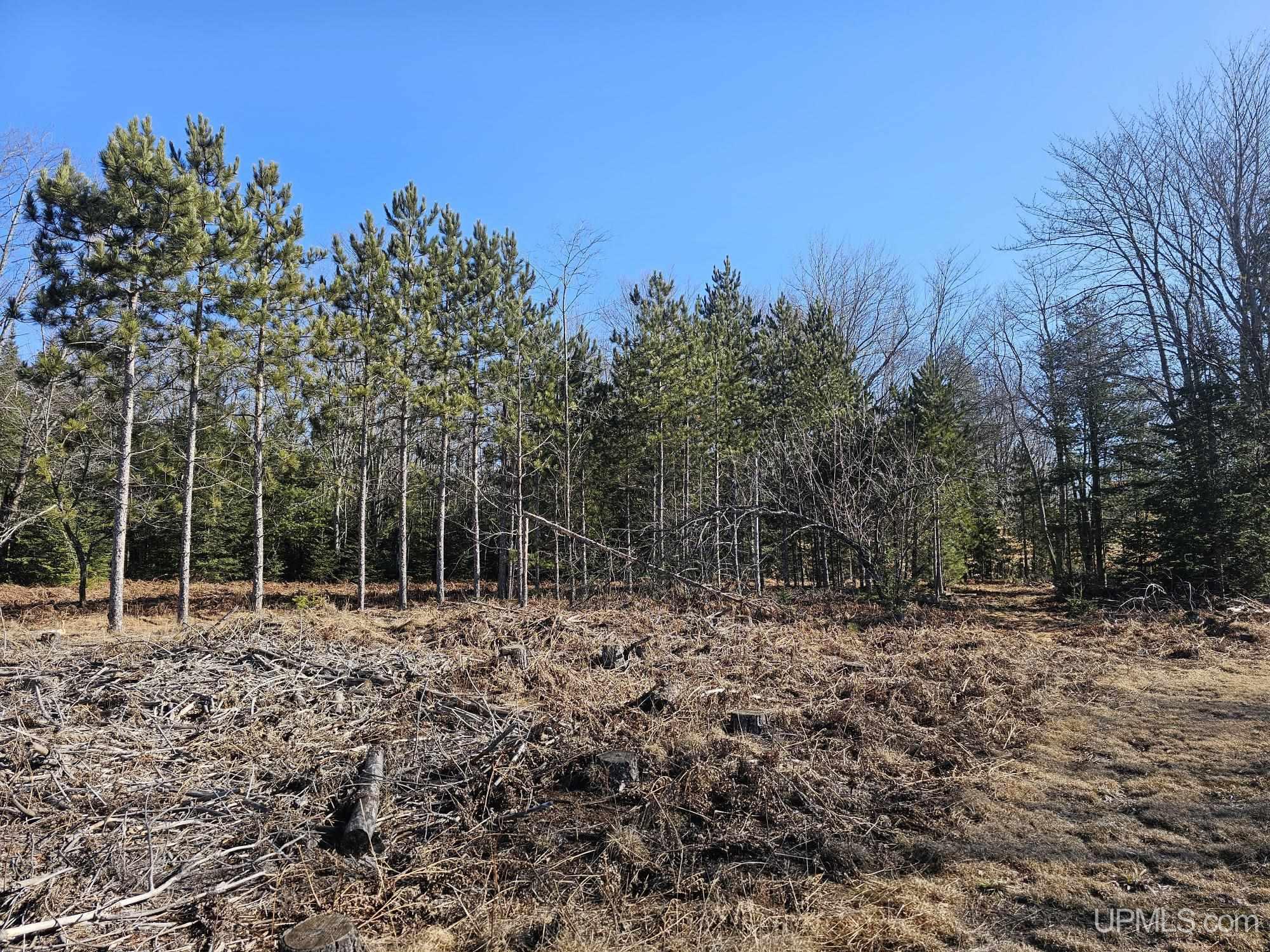 2467 Little Harbor Road Manistique, MI 49854 - Photo 35 of 68 Gallery Image 35