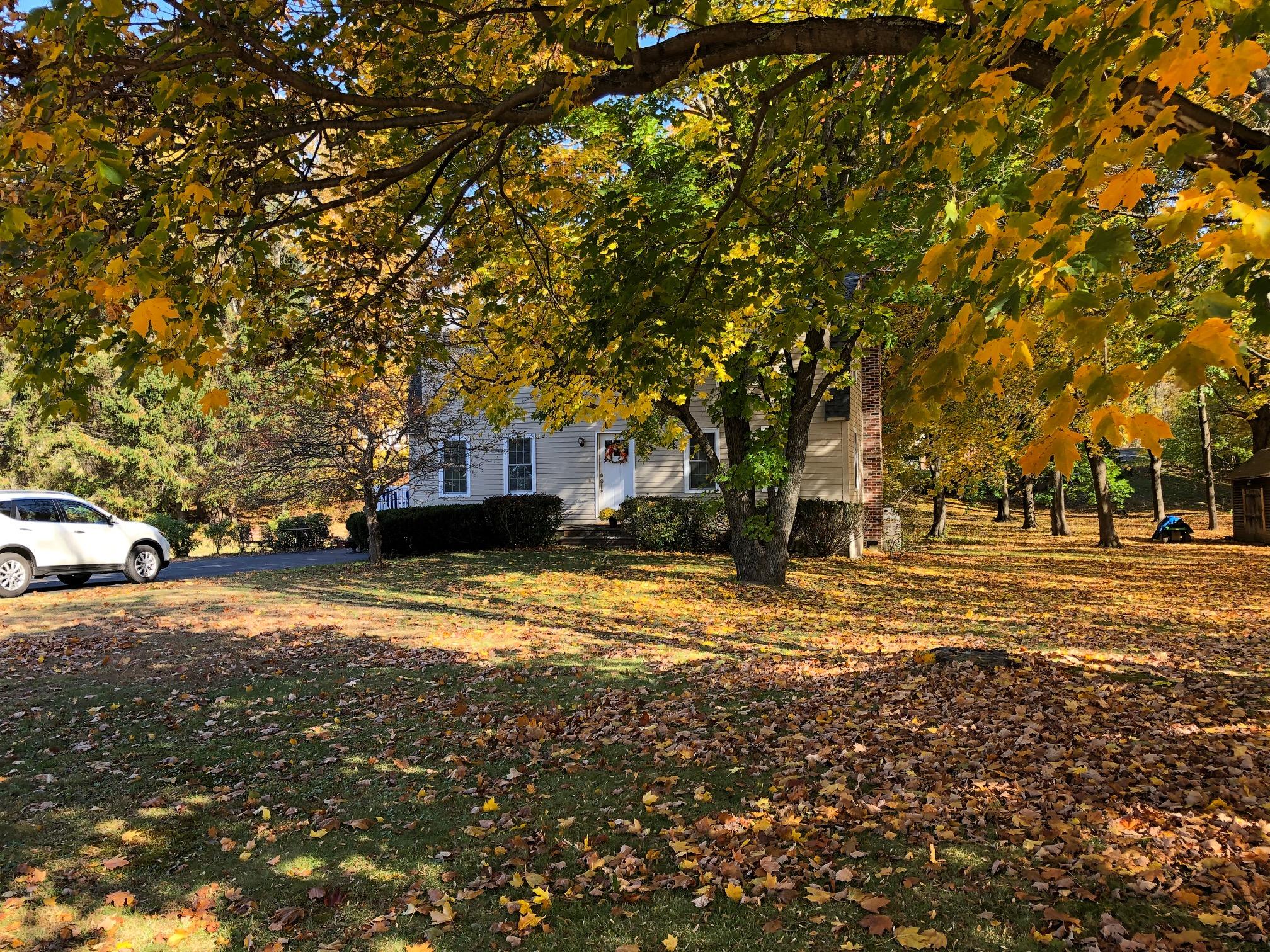 38 Kennebunk Road Alfred, ME 04002 - Photo 4 of 27 fallpics3