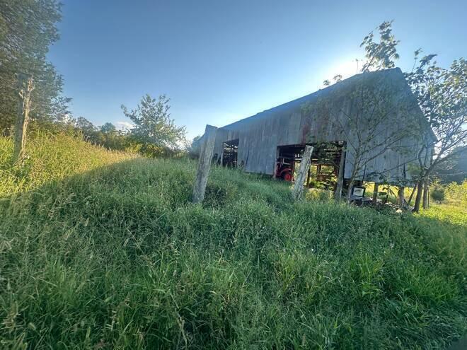 560 C C Riddle Road Burkesville, KY 42717 - Photo 26 of 32 20241217185153825321000000-o