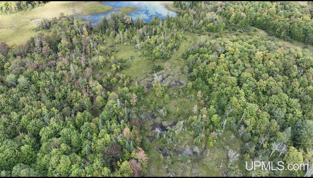 E12696 H-58 Road Shingleton, MI 49884 - Photo 11 of 12