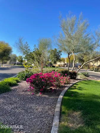 a view of a park with large trees