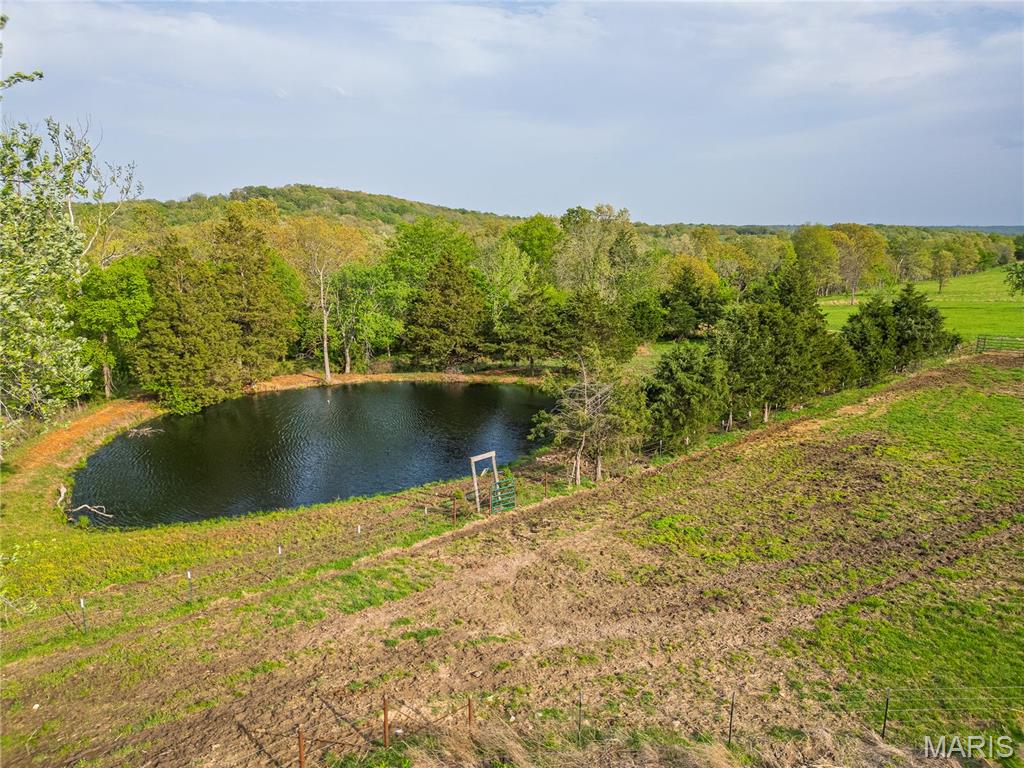 17305 Riverside Road Crocker, MO 65452 - Photo 91 of 96