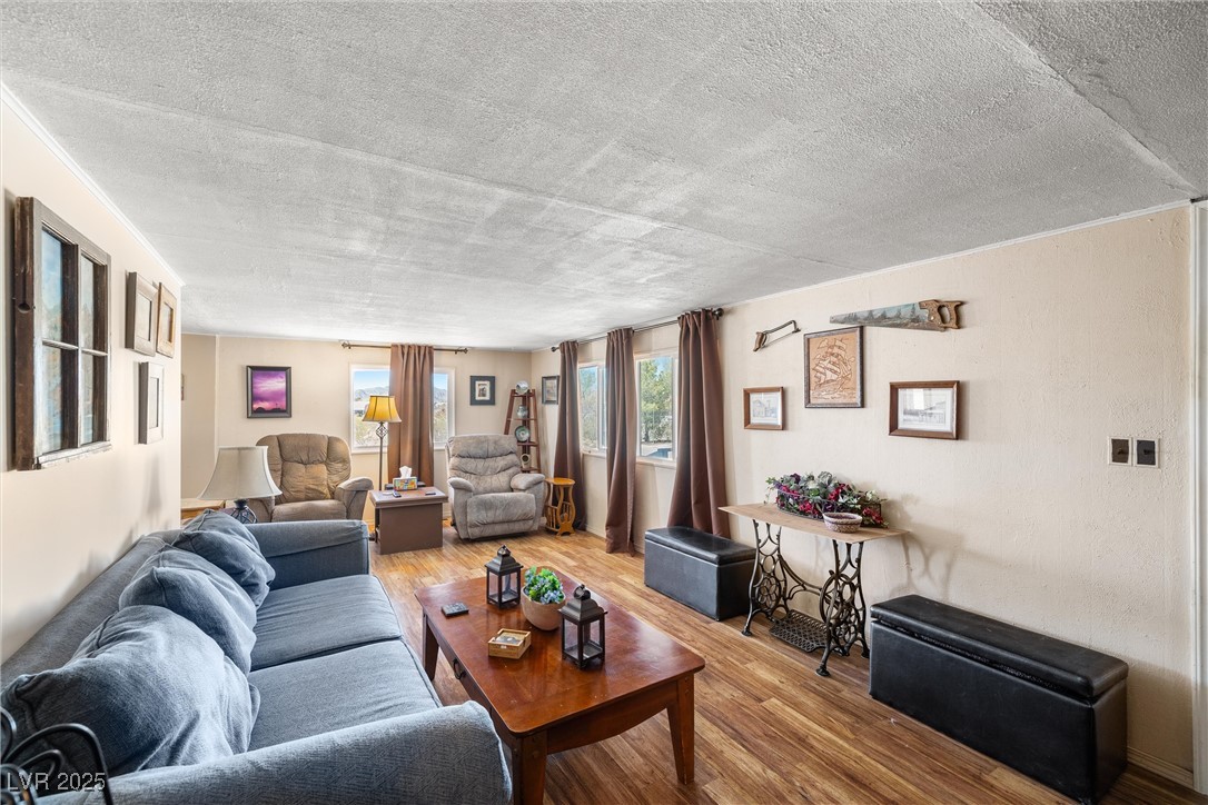 101 West Pechstein Road Pahrump, NV 89060 - Photo 6 of 33 Living area featuring, wood finished looking floors.