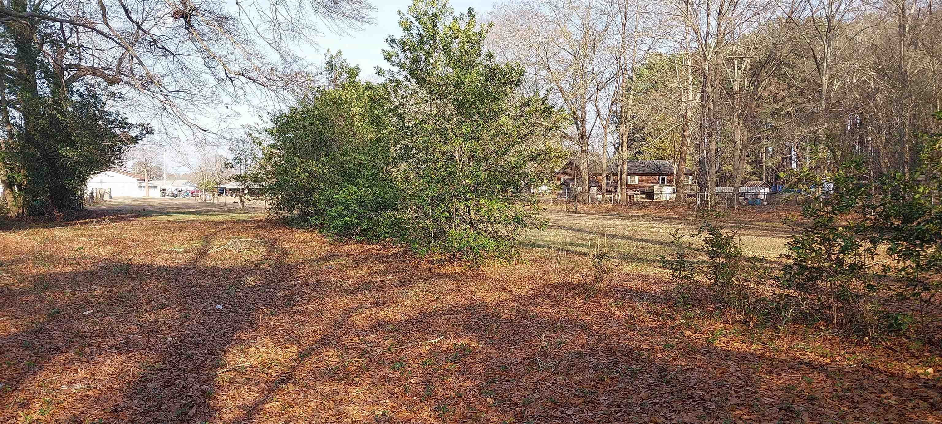 Lot 2-b&c Lot 2-b&c Browns Creek Road Latta, SC 29565 - Photo 2 of 5