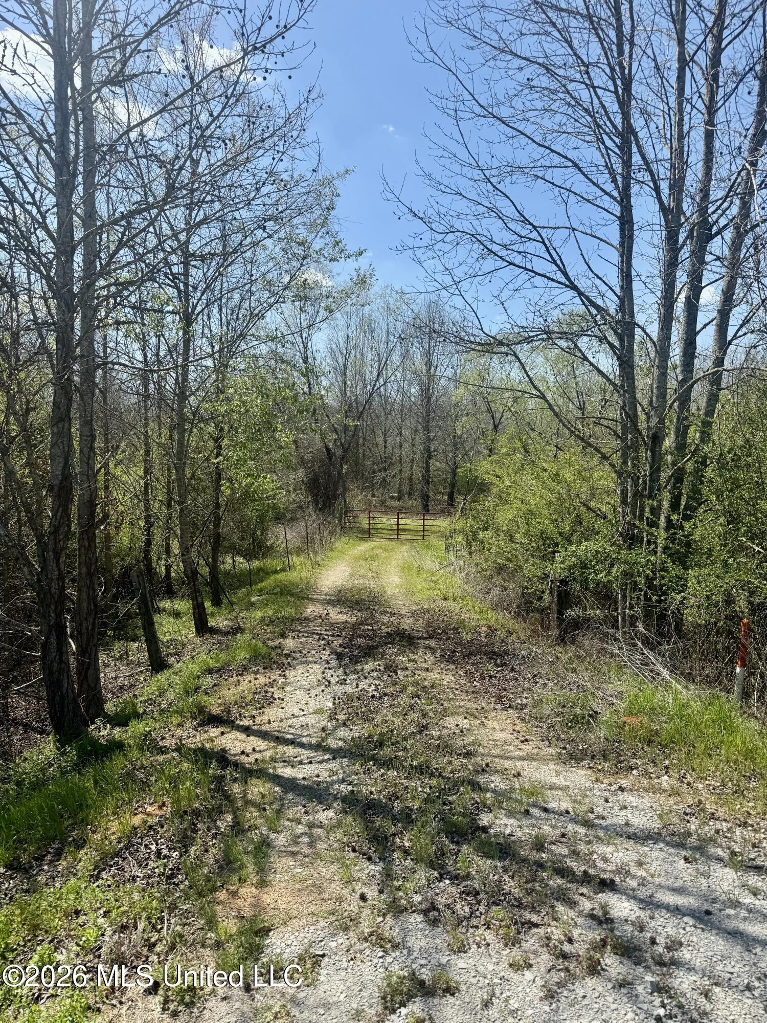 35 Highway 35 Carthage, MS 39051 - Photo 11 of 69 IMG_6411