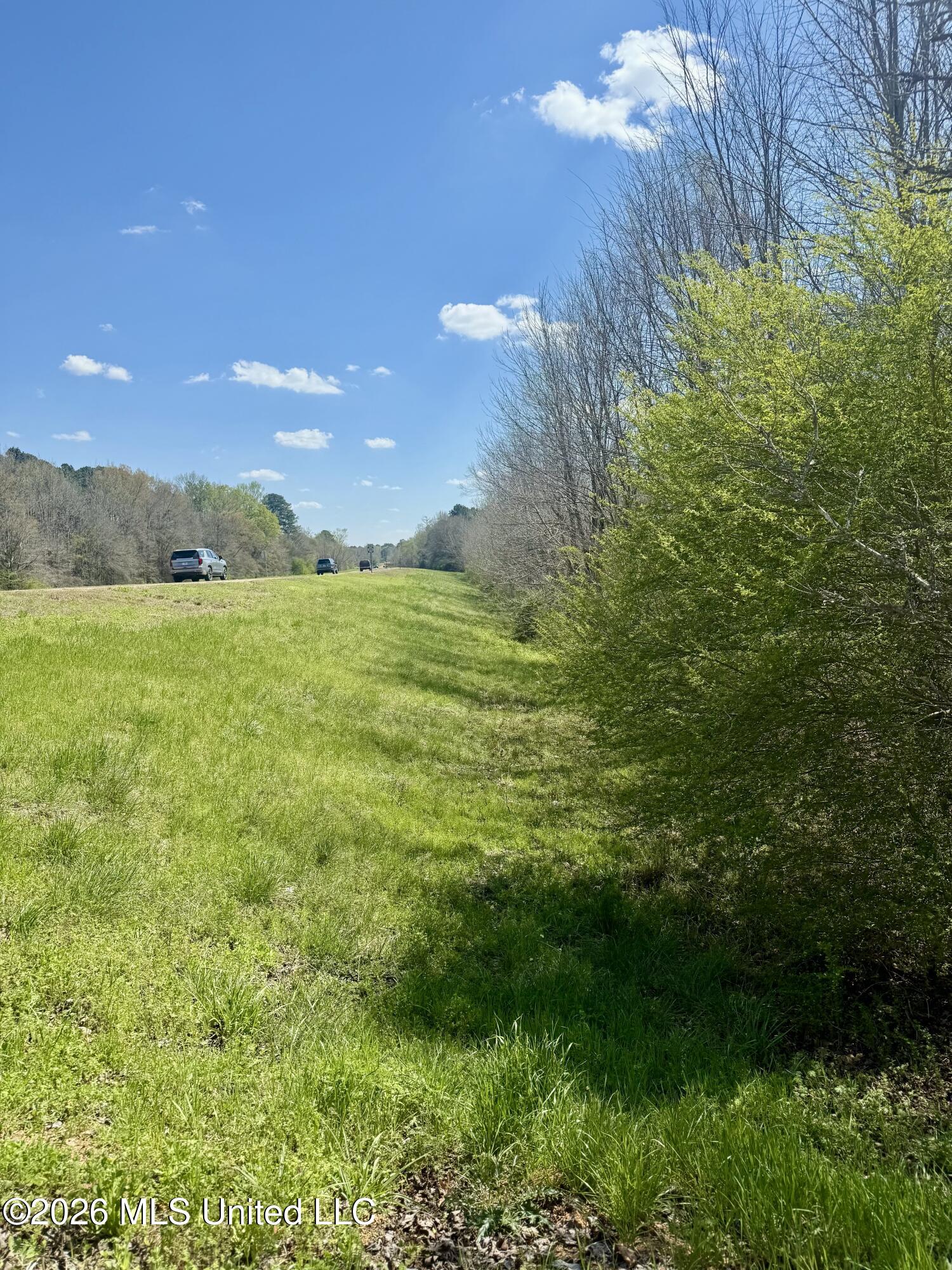 35 Highway 35 Carthage, MS 39051 - Photo 12 of 69 IMG_6413