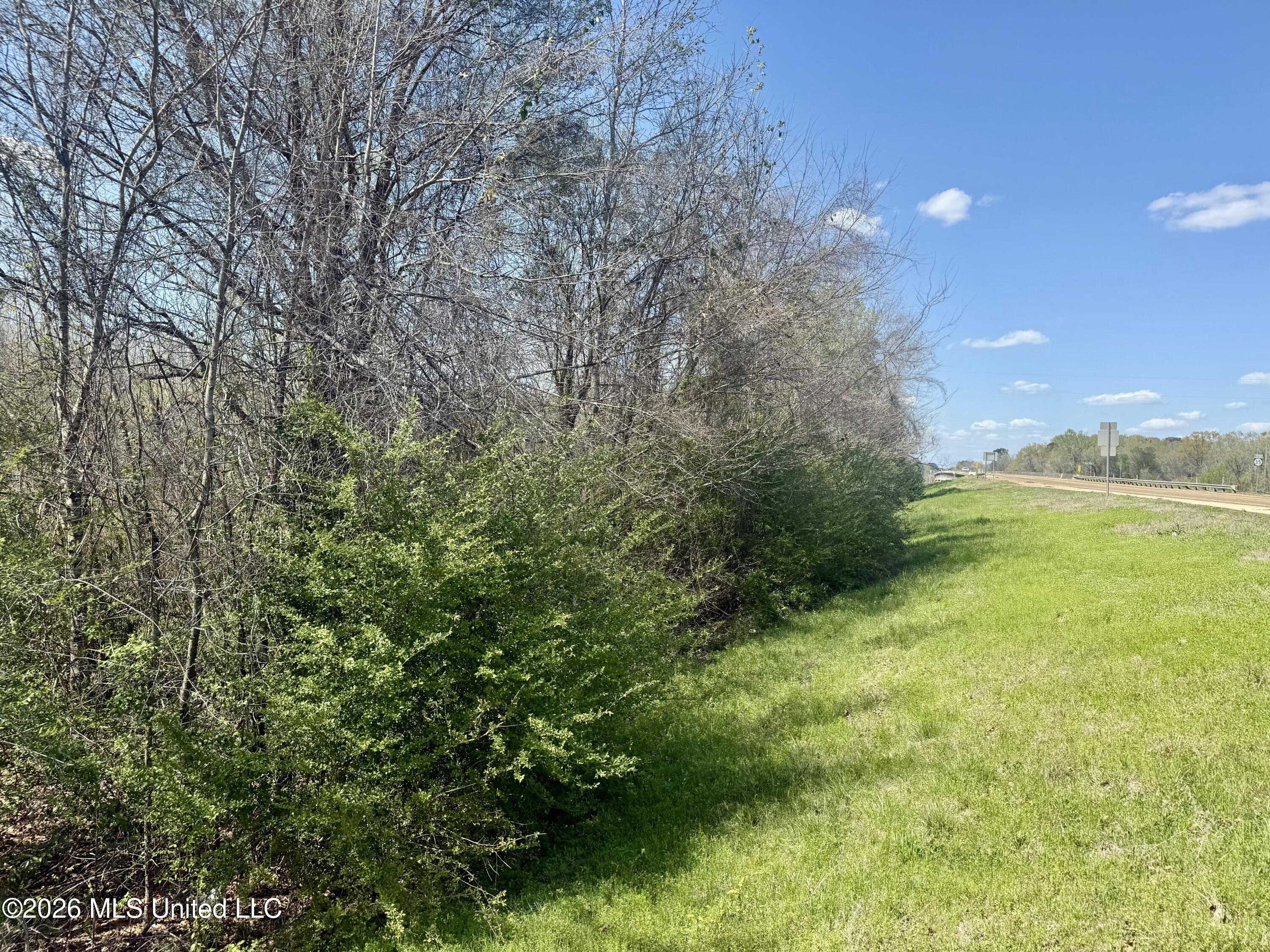 35 Highway 35 Carthage, MS 39051 - Photo 14 of 69 IMG_6415