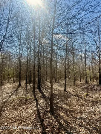 $412,360 | 35 Highway 35, Carthage, MS 39051
