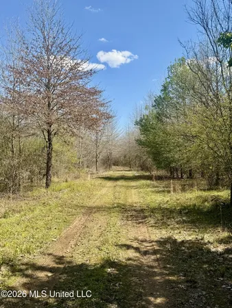 $412,360 | 35 Highway 35, Carthage, MS 39051