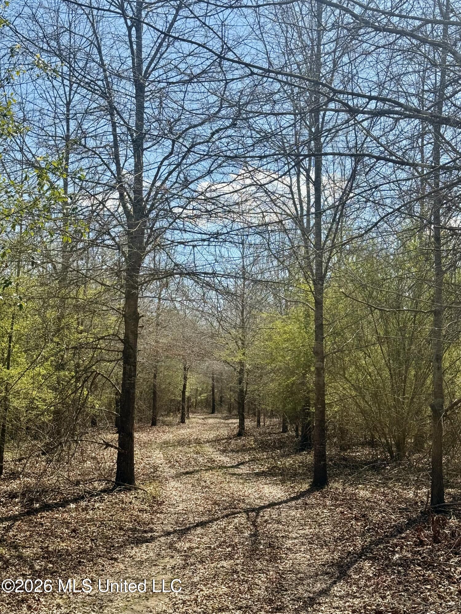 35 Highway 35 Carthage, MS 39051 - Photo 19 of 69 IMG_6423