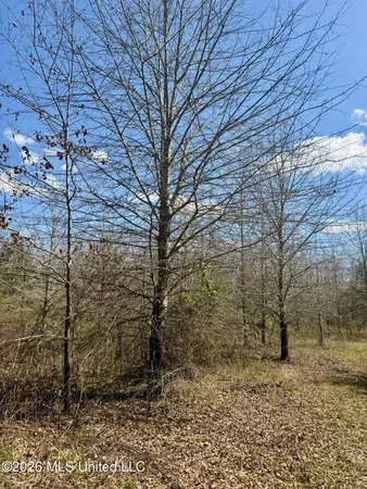 $412,360 | 35 Highway 35, Carthage, MS 39051