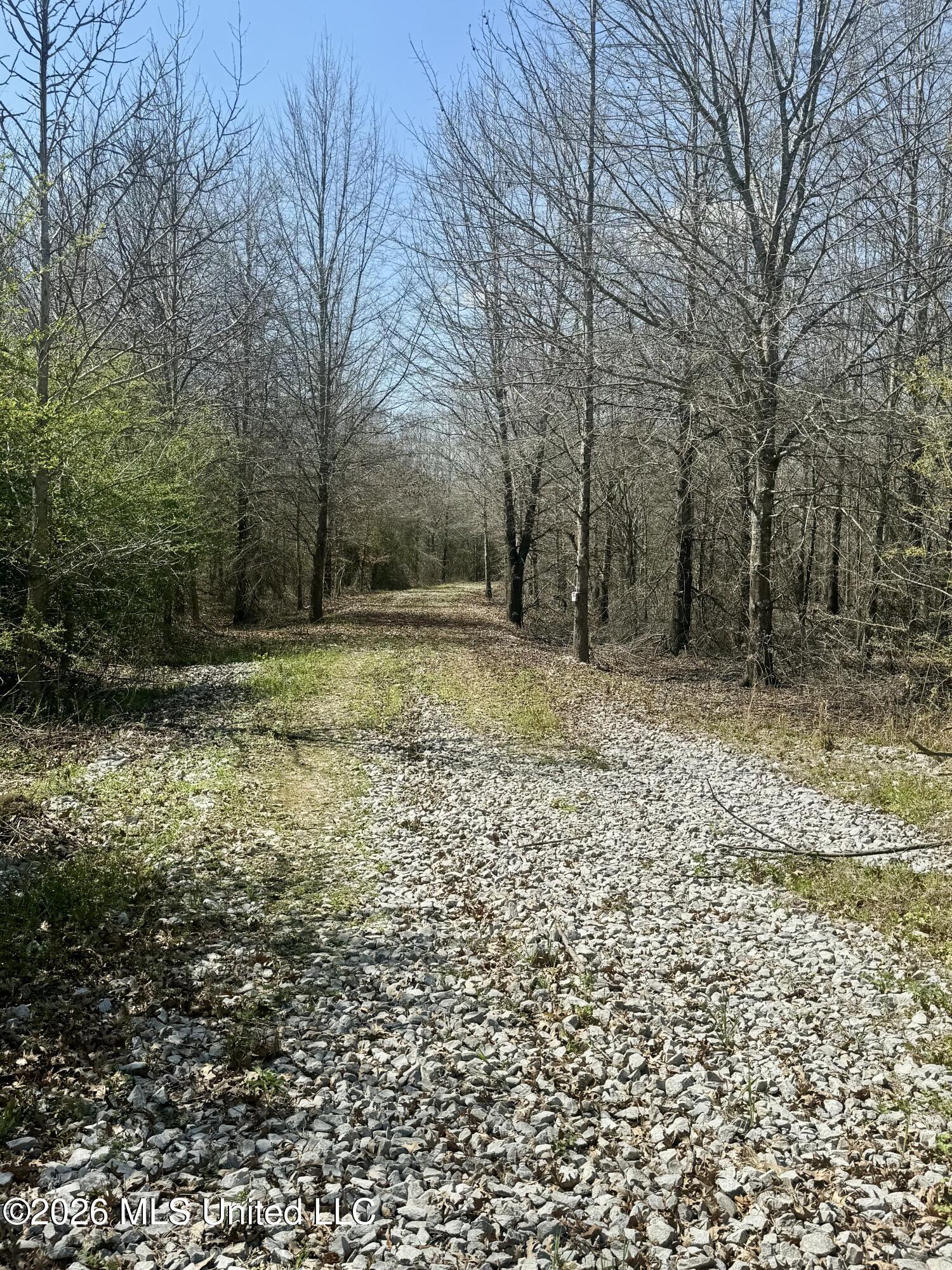 35 Highway 35 Carthage, MS 39051 - Photo 2 of 69 IMG_6417