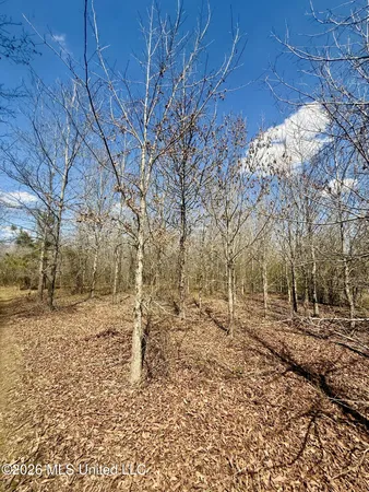 $412,360 | 35 Highway 35, Carthage, MS 39051