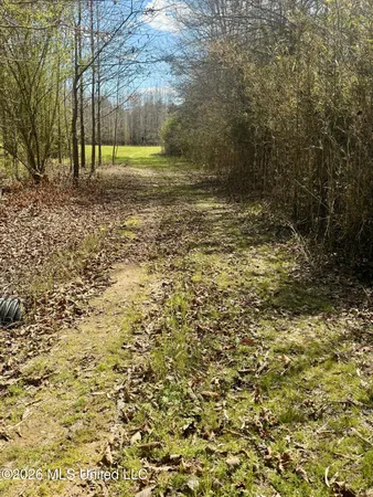 $412,360 | 35 Highway 35, Carthage, MS 39051