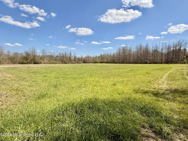 $412,360 | 35 Highway 35, Carthage, MS 39051