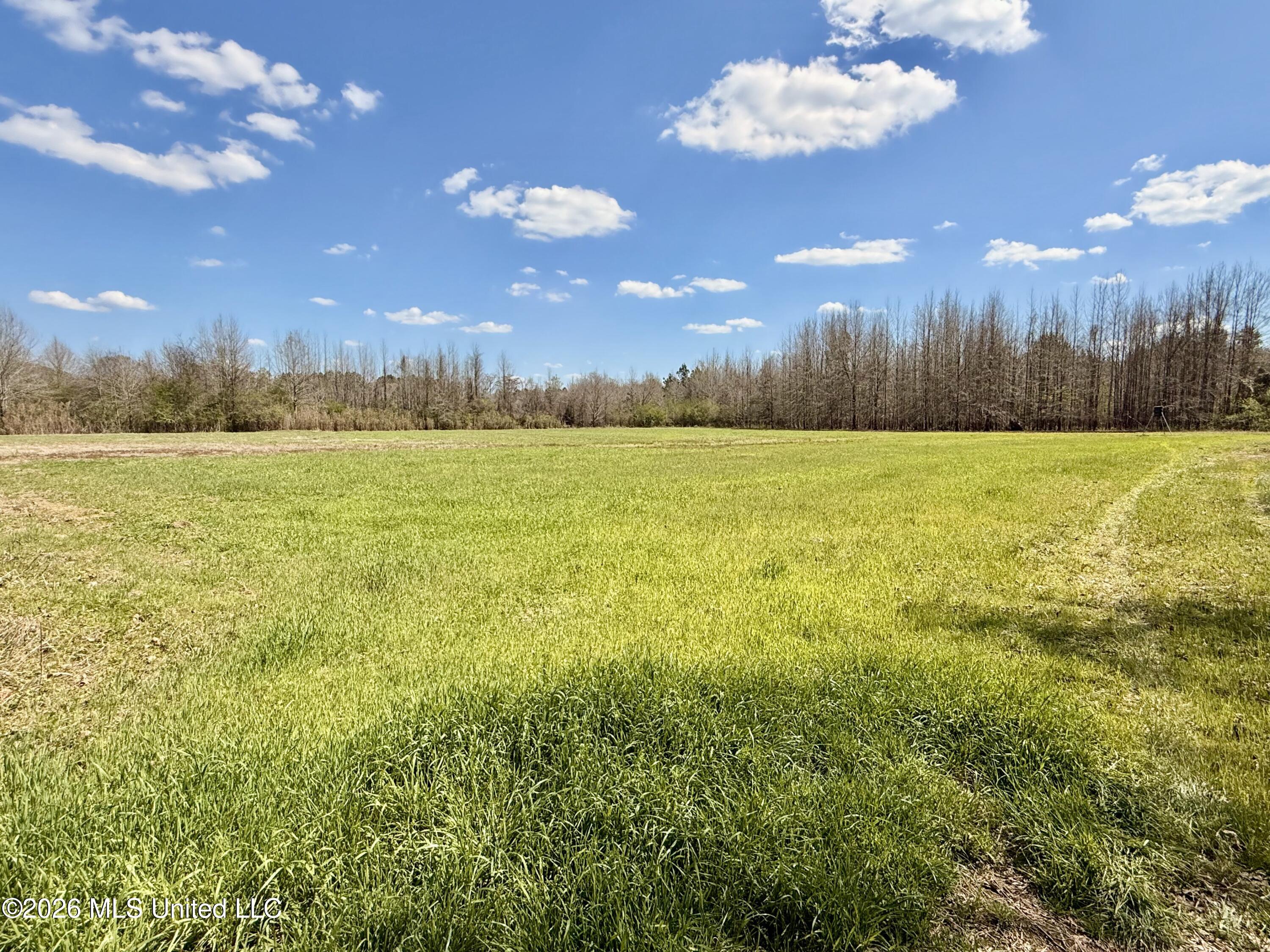 35 Highway 35 Carthage, MS 39051 - Photo 24 of 69 IMG_6430