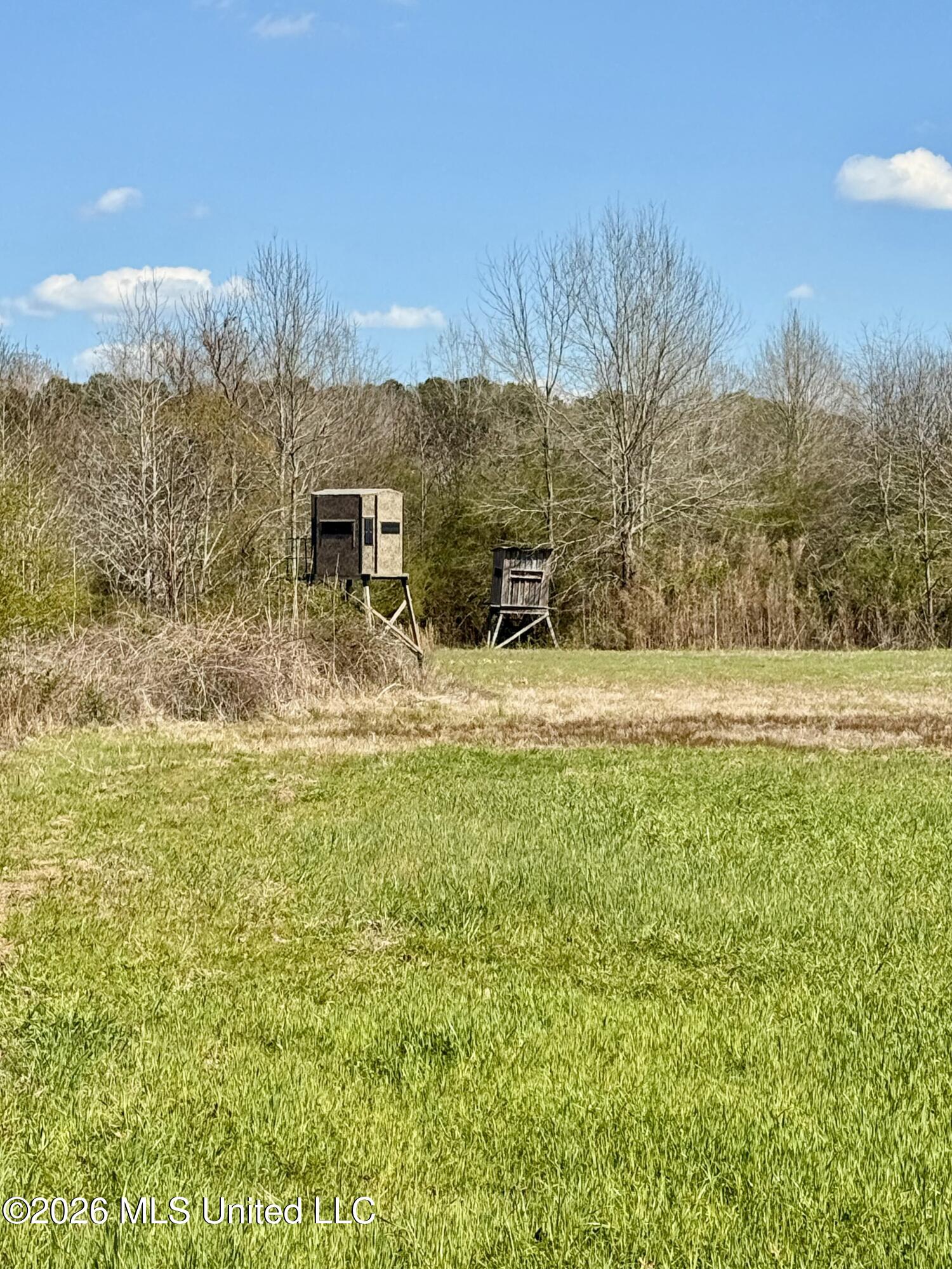 35 Highway 35 Carthage, MS 39051 - Photo 25 of 69 IMG_6431