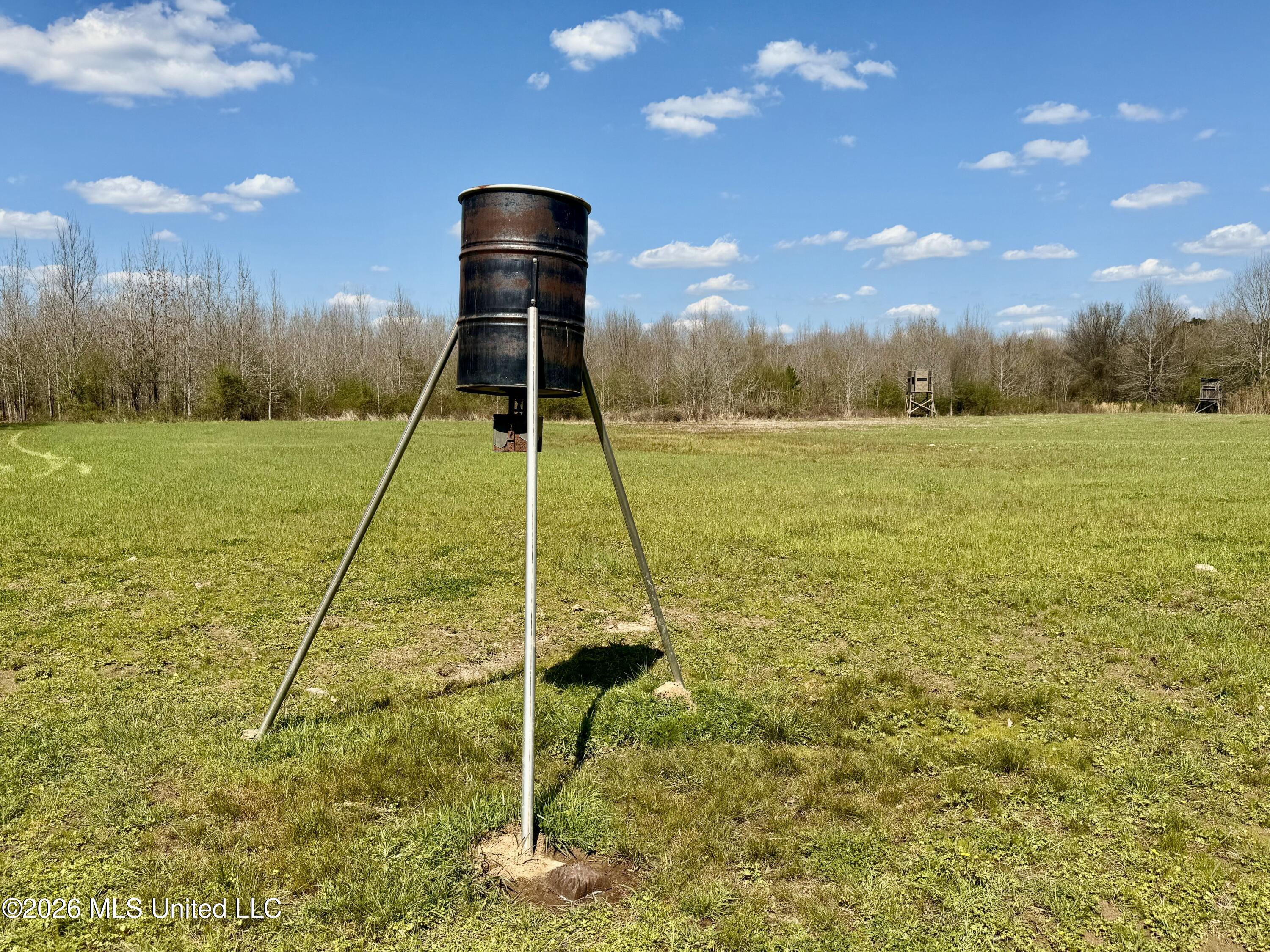 35 Highway 35 Carthage, MS 39051 - Photo 28 of 69 IMG_6436