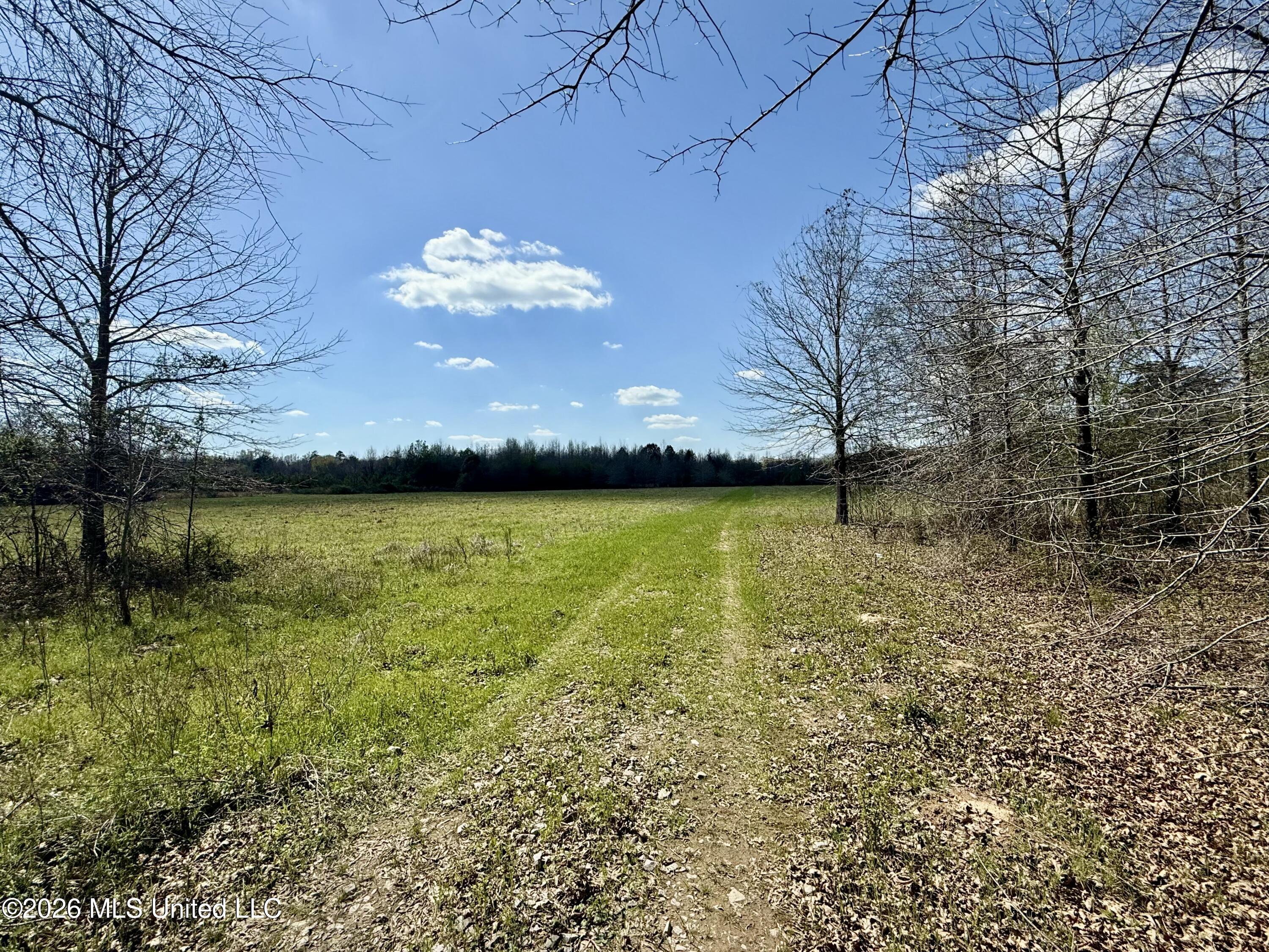 35 Highway 35 Carthage, MS 39051 - Photo 29 of 69 IMG_6437