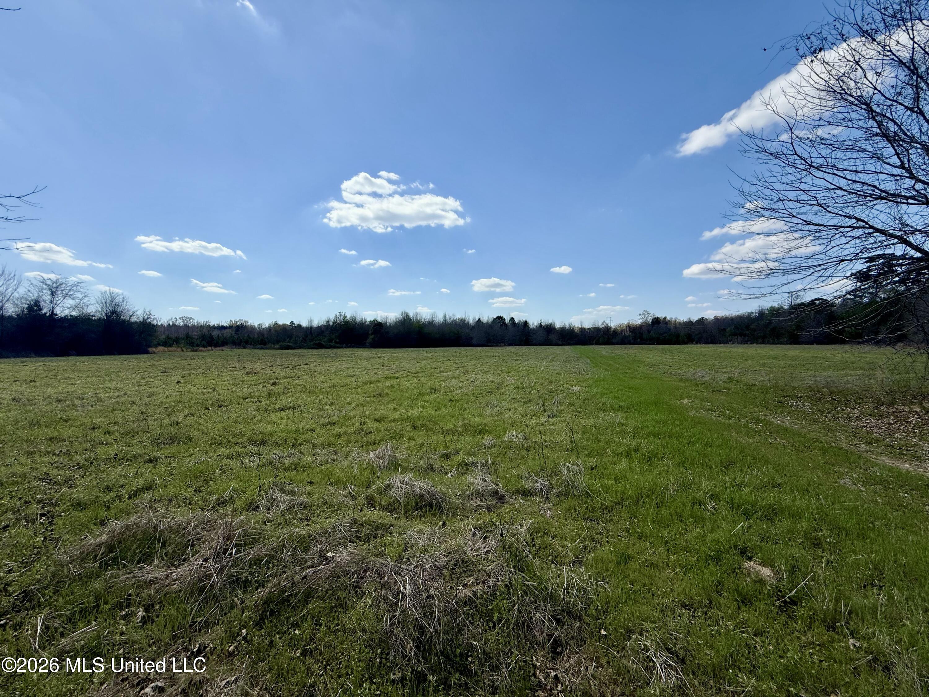 35 Highway 35 Carthage, MS 39051 - Photo 30 of 69 IMG_6438