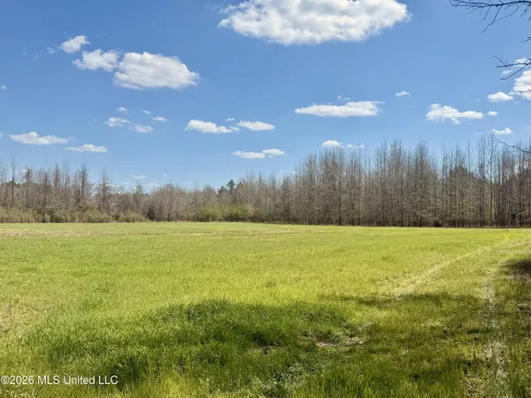 $412,360 | 35 Highway 35, Carthage, MS 39051