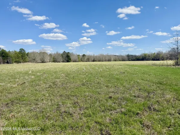 $412,360 | 35 Highway 35, Carthage, MS 39051