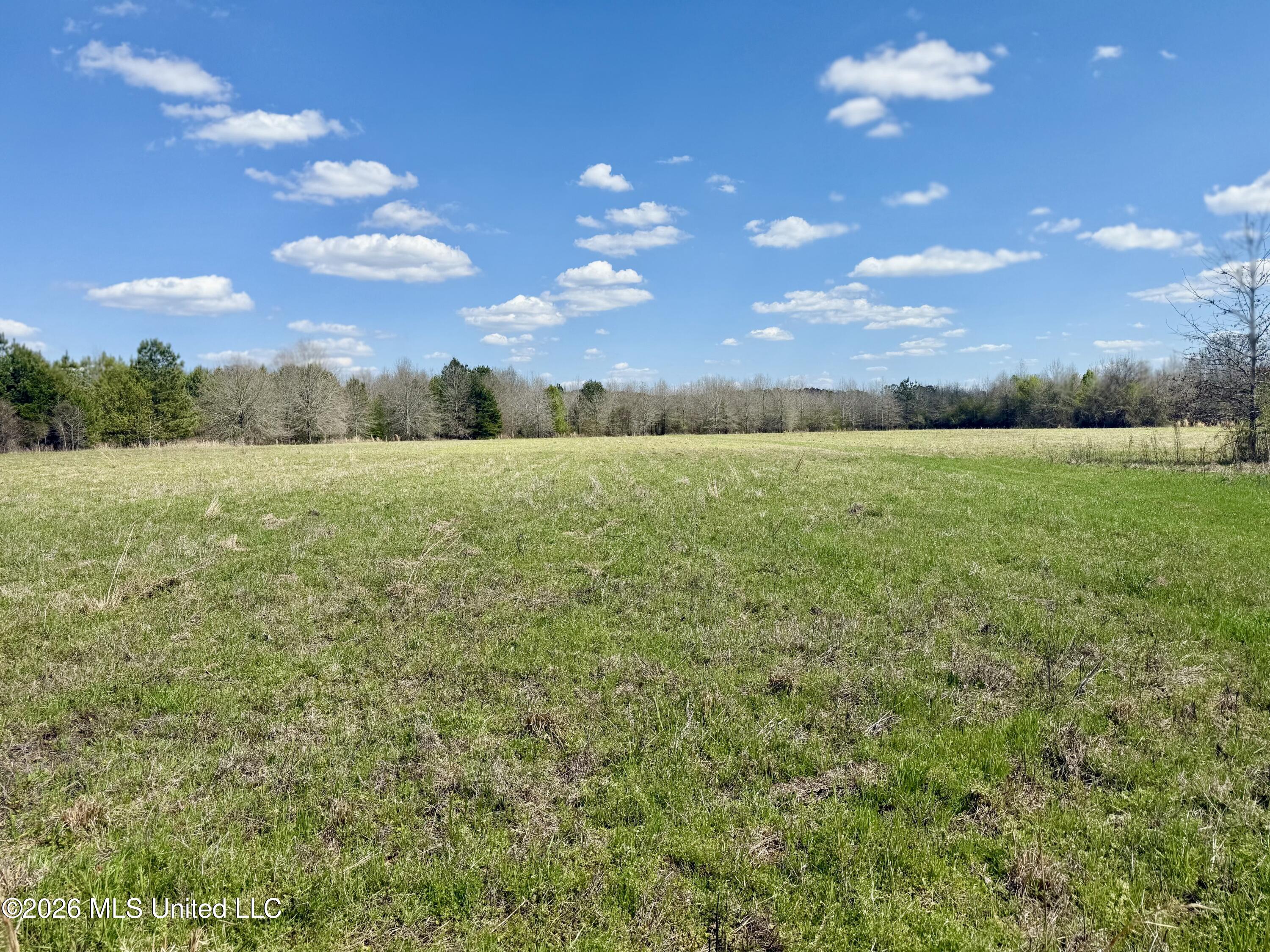 35 Highway 35 Carthage, MS 39051 - Photo 33 of 69 IMG_6448