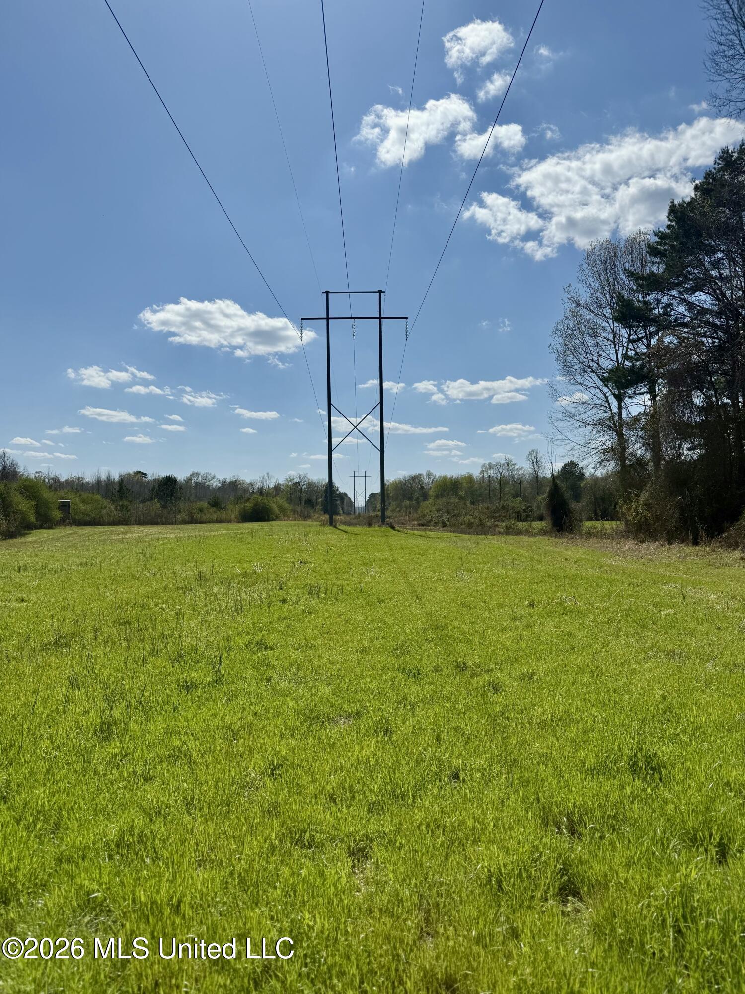 35 Highway 35 Carthage, MS 39051 - Photo 34 of 69 IMG_6451