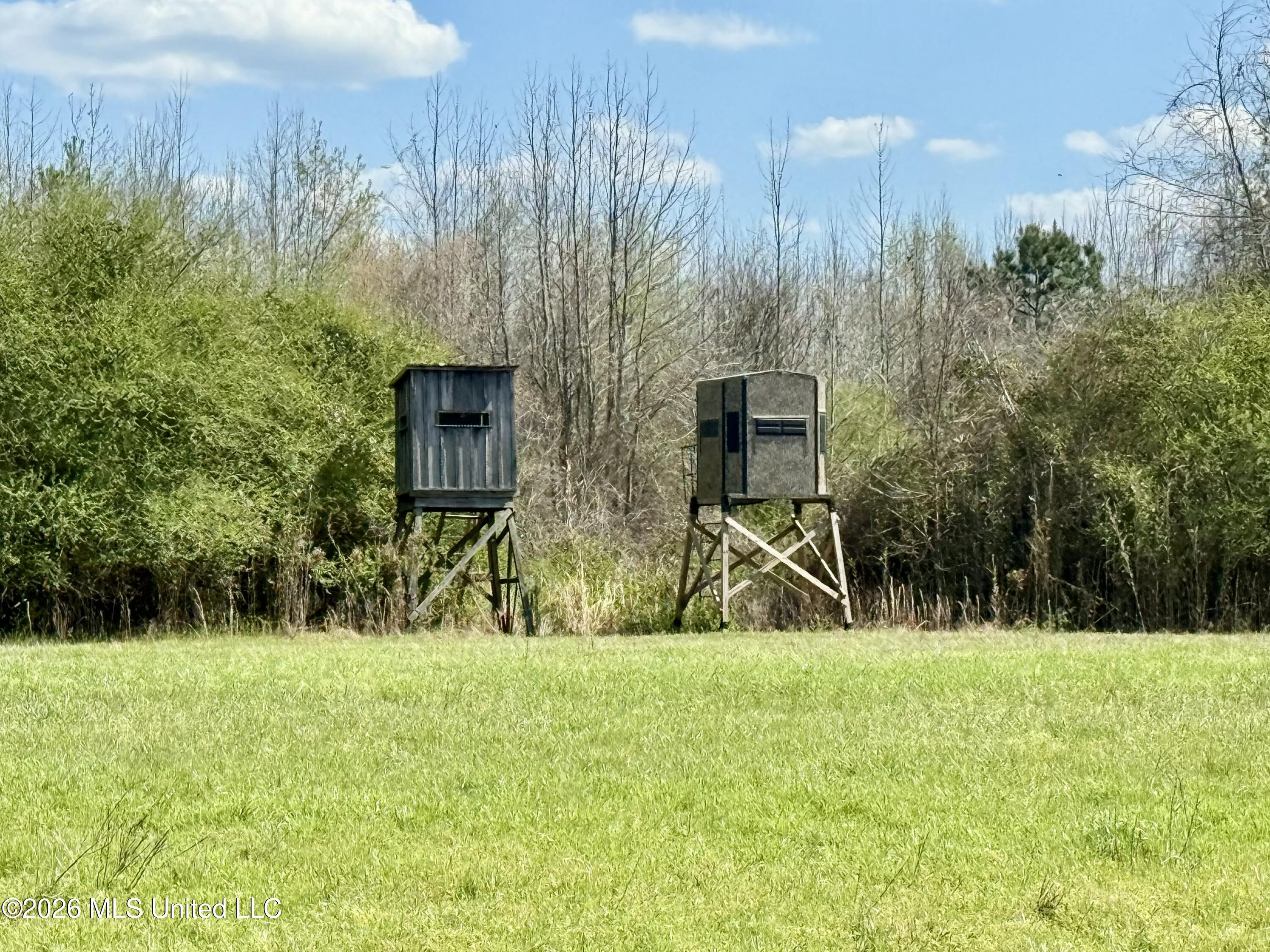 35 Highway 35 Carthage, MS 39051 - Photo 35 of 69 IMG_6453