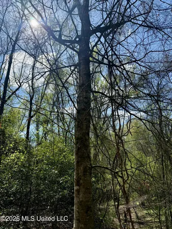 $412,360 | 35 Highway 35, Carthage, MS 39051
