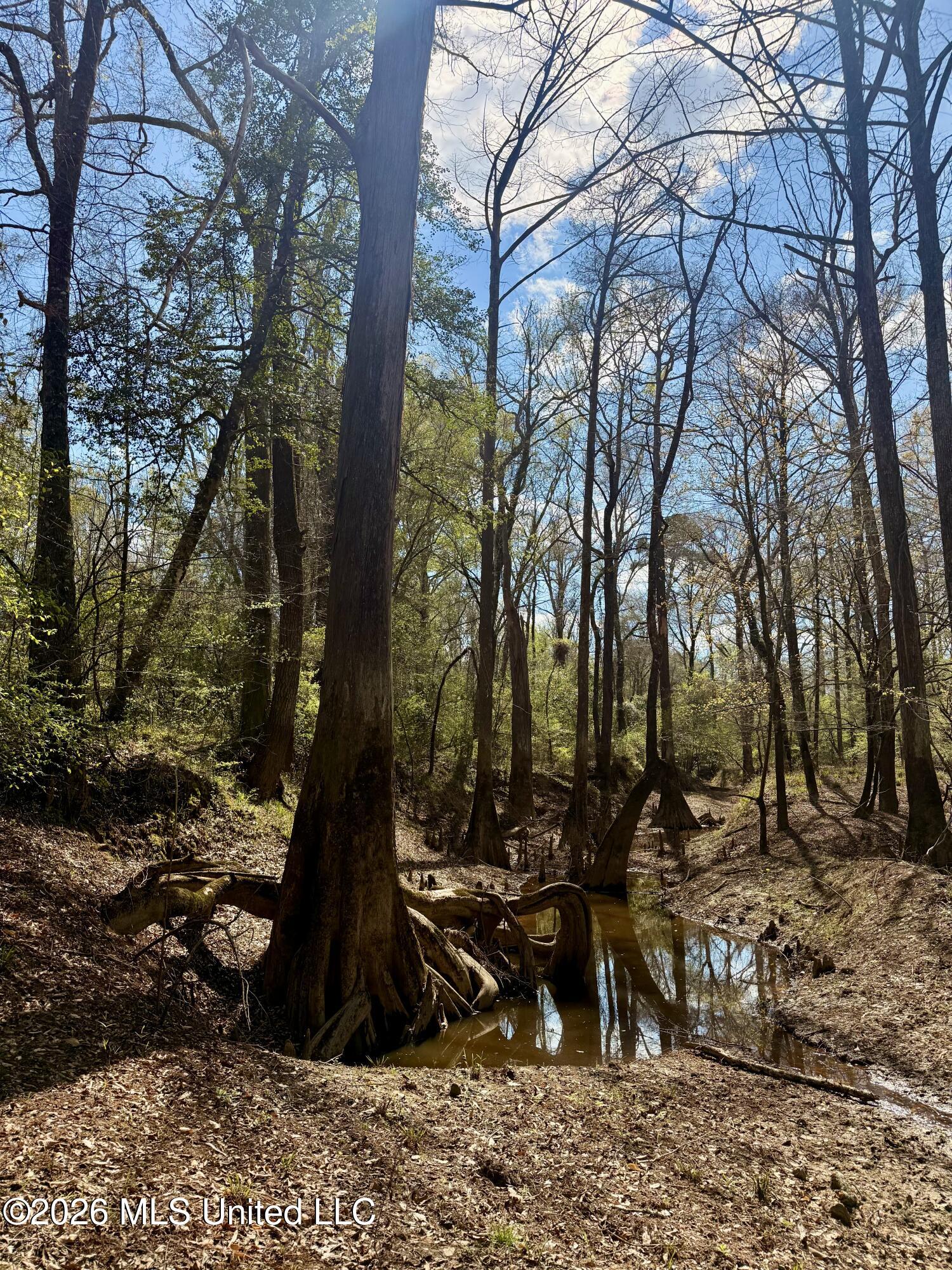 35 Highway 35 Carthage, MS 39051 - Photo 37 of 69 IMG_6459