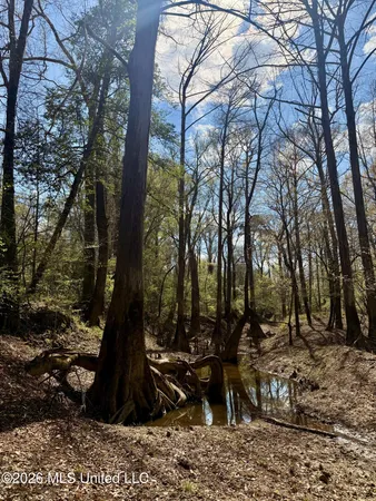$412,360 | 35 Highway 35, Carthage, MS 39051