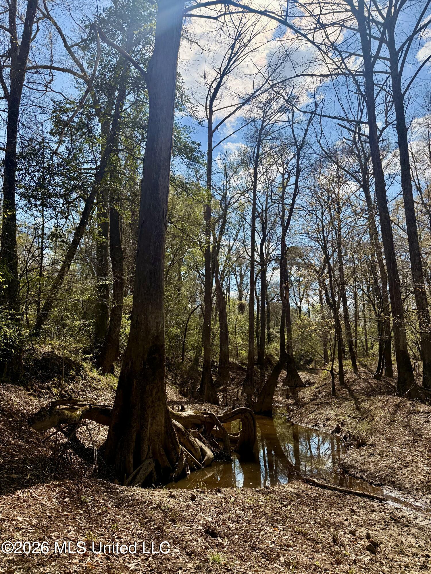 35 Highway 35 Carthage, MS 39051 - Photo 38 of 69 IMG_6460