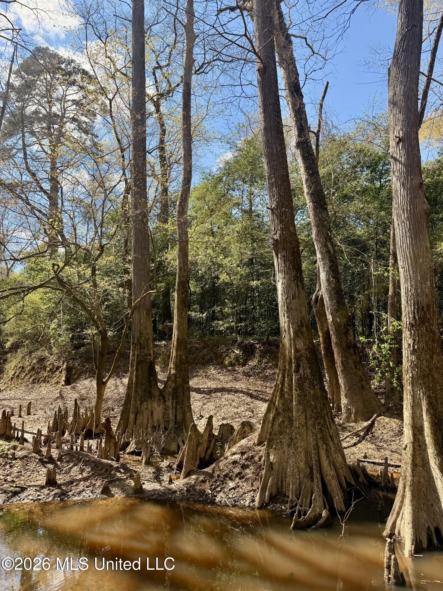 35 Highway 35 Carthage, MS 39051 - Photo 39 of 69 IMG_6462