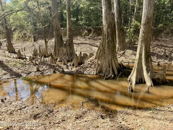 $412,360 | 35 Highway 35, Carthage, MS 39051