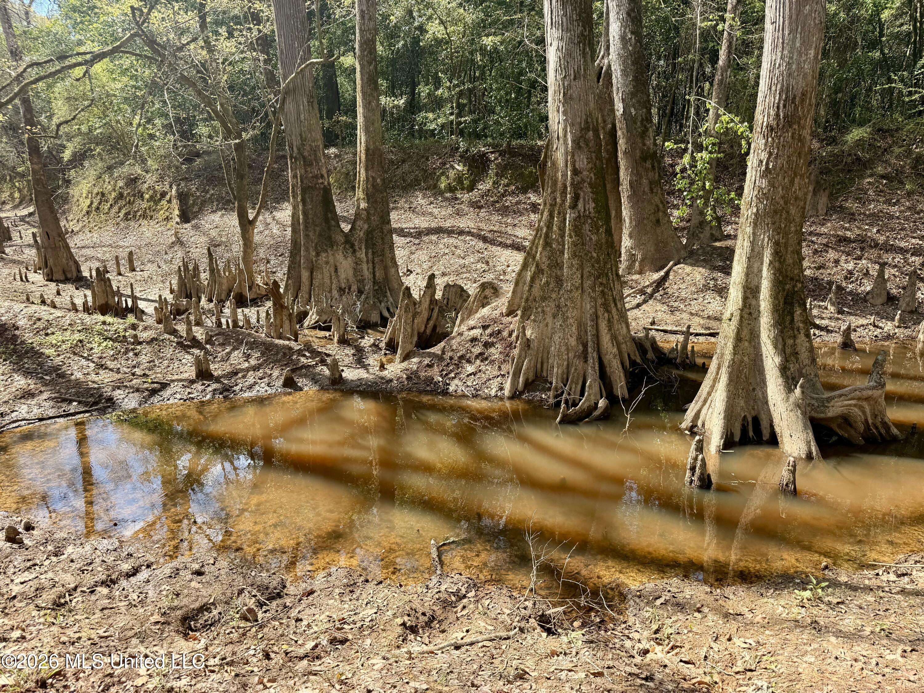 35 Highway 35 Carthage, MS 39051 - Photo 40 of 69 IMG_6463