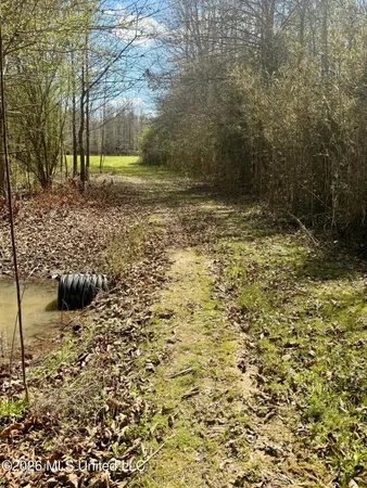 $412,360 | 35 Highway 35, Carthage, MS 39051