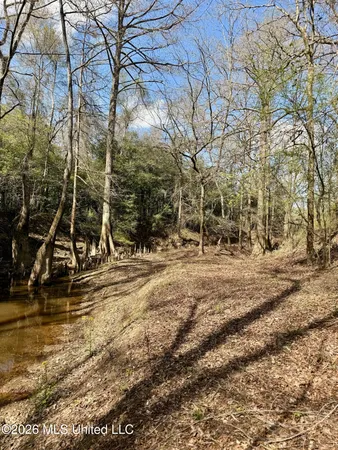 $412,360 | 35 Highway 35, Carthage, MS 39051