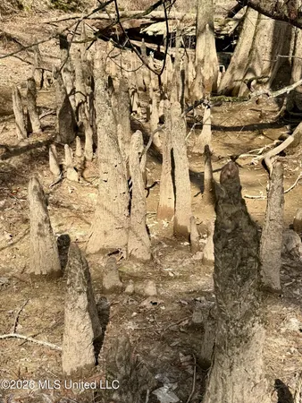 $412,360 | 35 Highway 35, Carthage, MS 39051