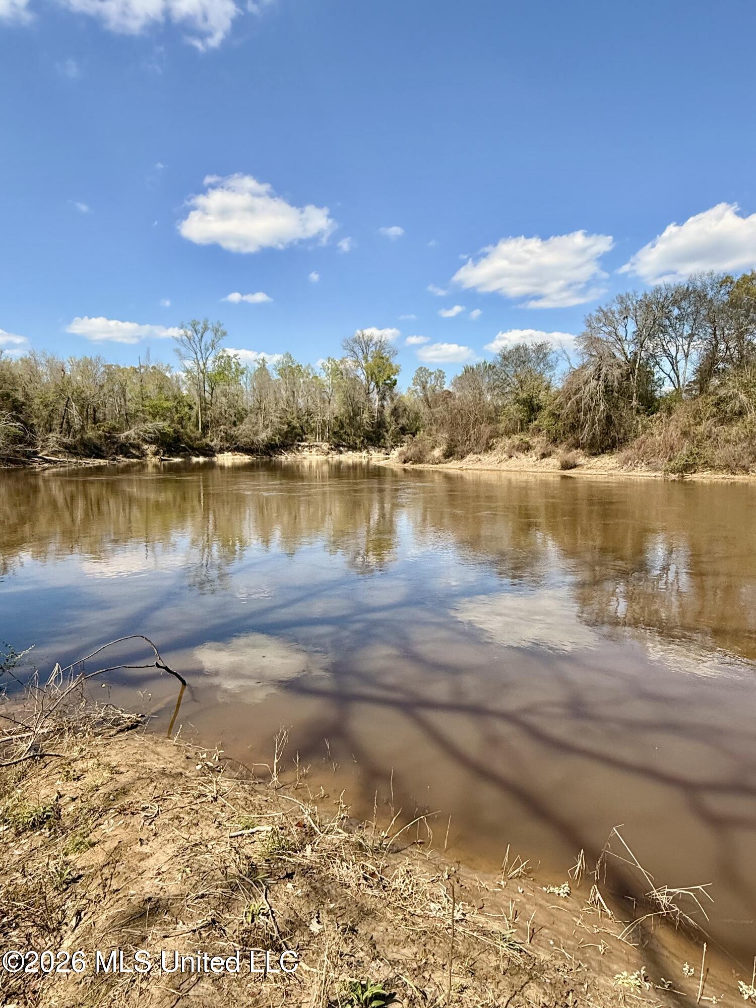 35 Highway 35 Carthage, MS 39051 - Photo 45 of 69 IMG_6474