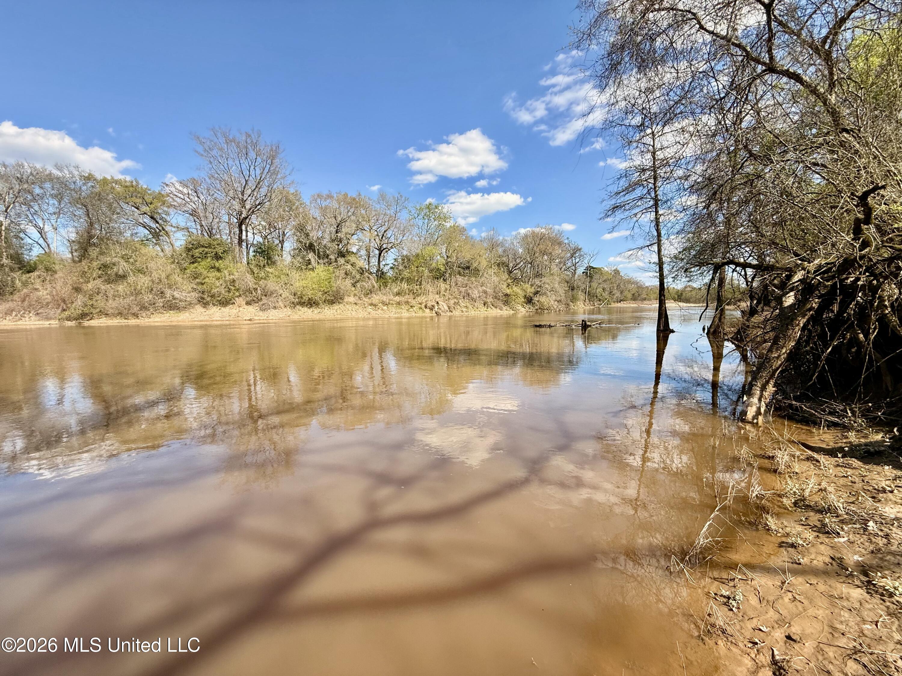 35 Highway 35 Carthage, MS 39051 - Photo 46 of 69 IMG_6478