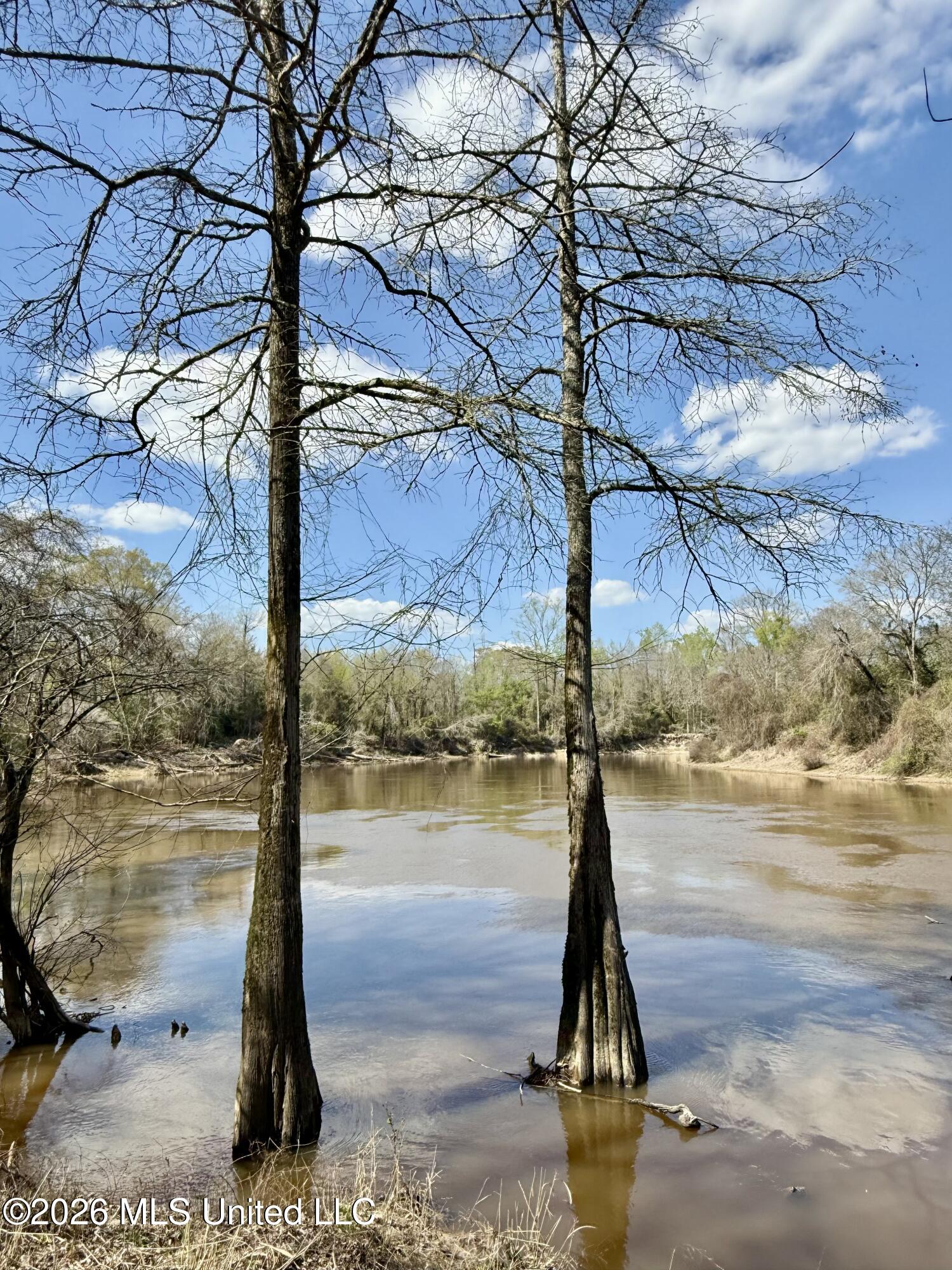 35 Highway 35 Carthage, MS 39051 - Photo 47 of 69 IMG_6483