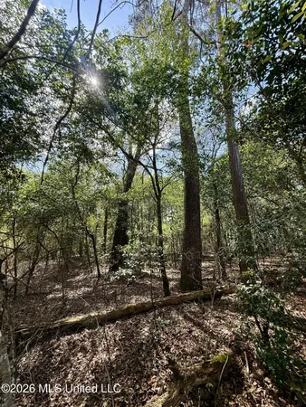 $412,360 | 35 Highway 35, Carthage, MS 39051