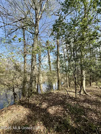 $412,360 | 35 Highway 35, Carthage, MS 39051